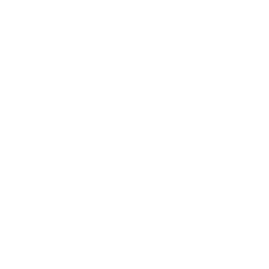 ZAN logo
